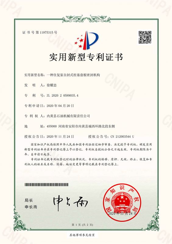 柱塞盤根